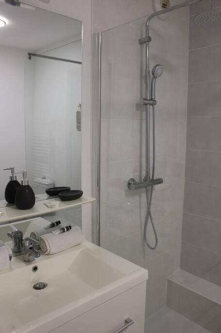 Appartement De Charme - Proche Centre-Ville Et Gare มงต์เปอลิเยร์ ภายนอก รูปภาพ
